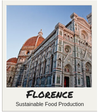 Florence Directory Tile