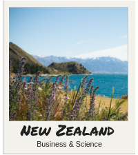 NZ Directory Tile